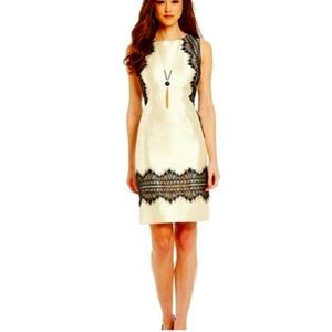 ANTONIO MELANI  chic champagne‎ dress w/black lace Cocktail Feminine Dress 0 S